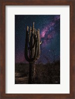 Framed Desert Nights