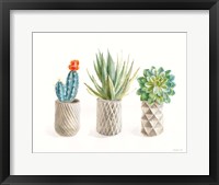 Desert Greenhouse VIII Framed Print