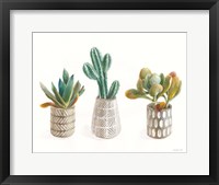 Desert Greenhouse VI Framed Print