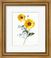 Framed 'Bees and Blooms Flowers V' border=