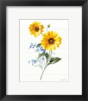 Framed 'Bees and Blooms Flowers V' border=