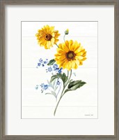 Framed 'Bees and Blooms Flowers V' border=