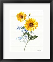 Framed 'Bees and Blooms Flowers V' border=