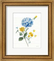 Framed 'Bees and Blooms Flowers III' border=