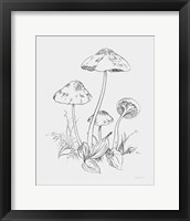 Framed 'Natures Sketchbook III Bold Light Gray' border=