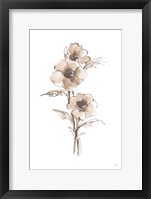 Framed Wash Anemone II Neutral