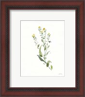 Framed 'Flowers of the Wild IV' border=