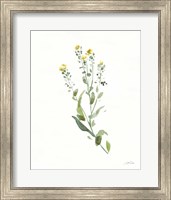 Framed 'Flowers of the Wild IV' border=