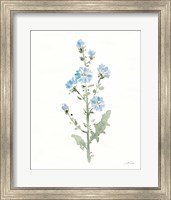 Framed 'Flowers of the Wild III' border=