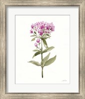 Framed 'Flowers of the Wild II' border=