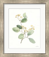 Framed 'Flowers of the Wild I' border=