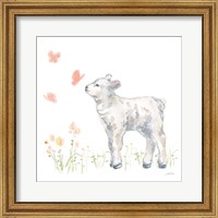 Framed 'Spring Lamb IV' border=