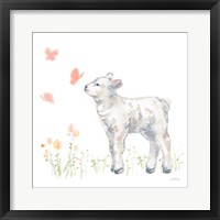 Framed Spring Lamb IV