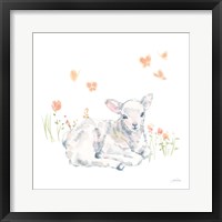 Spring Lambs III Framed Print