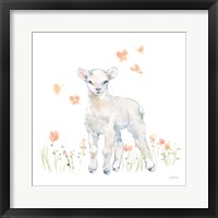 Framed Spring Lambs II