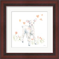 Framed 'Spring Lambs I' border=