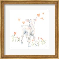 Framed 'Spring Lambs I' border=