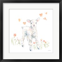 Spring Lambs I Framed Print