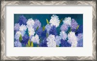 Framed Bold Hyacinth Crop