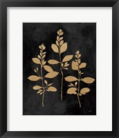 Framed Botanical Sutdy IV GB