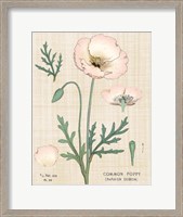 Framed Poppy Chart Linen