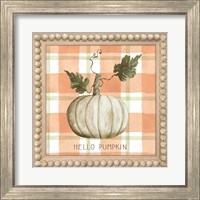 Framed 'Hello Pumpkin' border=