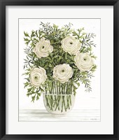 Framed Ranunculus on White