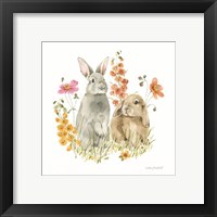 Framed 'Hop on Spring V' border=