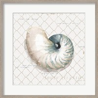 Framed 'Ocean View IV' border=