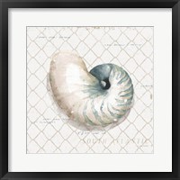 Framed 'Ocean View IV' border=