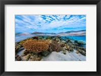 Framed Into the Lagoon!