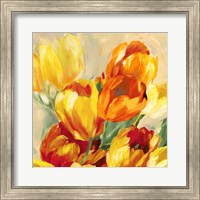 Framed 'Tulips in the Sun I' border=