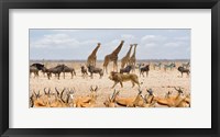 Framed Sovereign Passing By (Masai Mara)