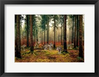 Framed Pack of Wolves in the Woods