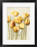 Framed Tulipes et Histoires