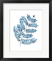 Framed 'Woodland Fern' border=