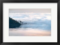 Framed Fog and Forest III