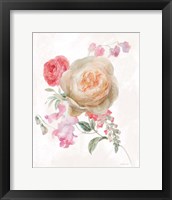 Framed Sorbet Floret III