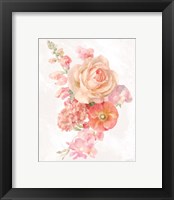 Framed 'Sorbet Floret II' border=