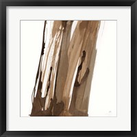 Walnut Falls II Framed Print