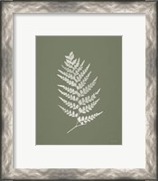 Framed 'True Green X' border=