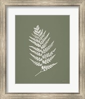 Framed 'True Green X' border=