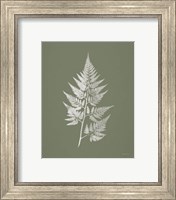 Framed 'True Green VIII' border=