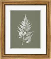 Framed 'True Green VIII' border=