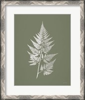 Framed 'True Green VIII' border=