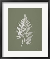 True Green VIII Framed Print