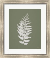 Framed 'True Green VII' border=