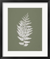 True Green VII Framed Print