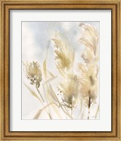 Framed 'Pampas Grasses III' border=