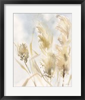 Framed 'Pampas Grasses III' border=